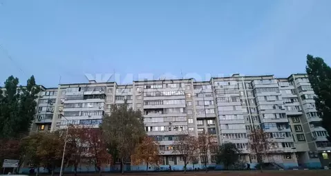 4-к кв. Белгородская область, Белгород ул. Губкина, 25 (75.0 м)