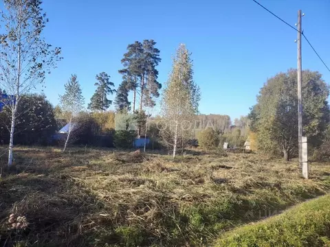 Участок в Новосибирская область, Новосибирский район, Барышевский ...