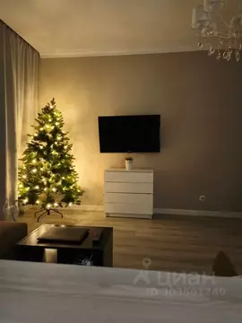 Студия Татарстан, Казань просп. Альберта Камалеева, 32Б (30.0 м)