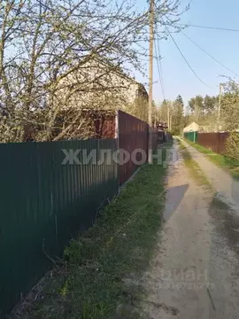 Участок в Брянская область, Брянский район, Журиничское с/пос, Факел-1 ...