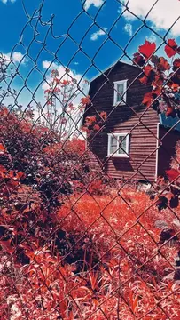 Участок в Нижегородская область, Богородский муниципальный округ  ...