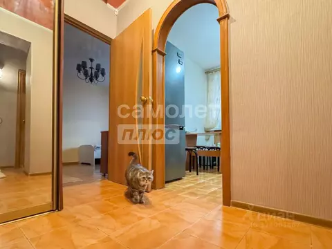 2-к кв. Амурская область, Благовещенск ул. Шевченко, 19 (50.0 м)