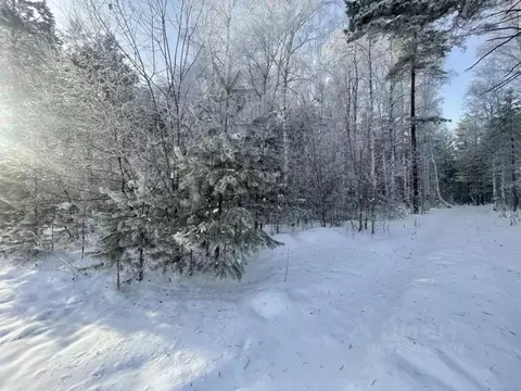 Участок в Иркутская область, Иркутский муниципальный округ, пос. Падь ...