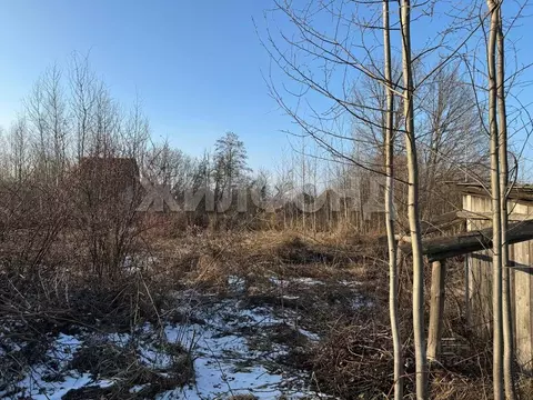 Участок в Брянская область, Брянск  (11.0 сот.)