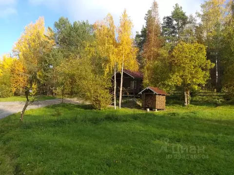 Дом в Карелия, Лахденпохский муниципальный округ, пос. Харвиа  (35 м)
