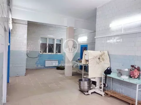 Производственное помещение в Рязанская область, Спасск-Рязанский пер. ...
