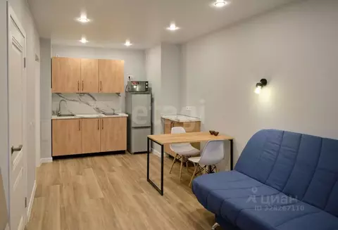 1-к кв. Санкт-Петербург Полевая Сабировская ул., 45к1 (38.4 м)