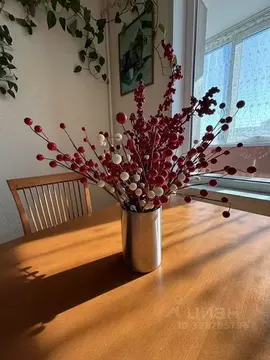 2-к кв. Санкт-Петербург Коломяжский просп., 26 (67.0 м)