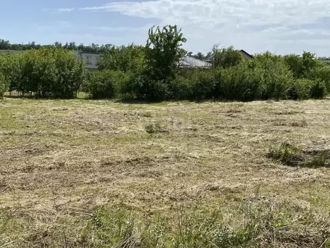 Участок в Ставропольский край, Ставрополь Земляне садовое ...