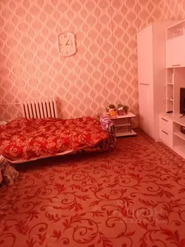 2-к кв. Челябинская область, Коркино ул. 9 Января, 4 (57.7 м)