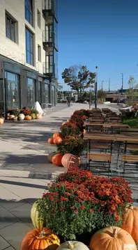 Помещение свободного назначения в Калининградская область, Калининград ...