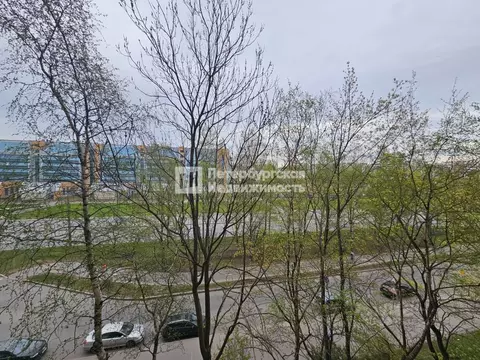1-к кв. Санкт-Петербург ул. Шотмана, 11 (32.5 м)