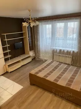 Студия Новосибирская область, Новосибирск ул. Сибиряков-Гвардейцев, ...