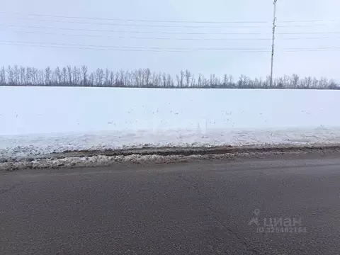 Участок в Белгородская область, Красногвардейский район, Ливенское ...