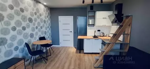 Студия Санкт-Петербург Будапештская ул., 102 (25.0 м)