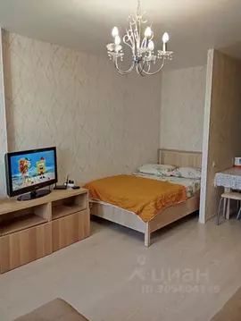 Студия Свердловская область, Екатеринбург ул. Ракетная, 20 (27.0 м)