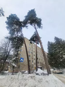 2-к кв. Московская область, Одинцовский городской округ, пос. Сосны 12 ...