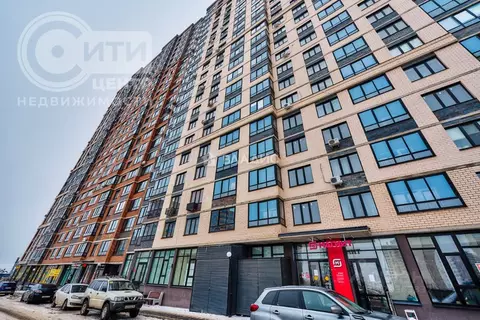 Студия Воронежская область, Воронеж ул. Независимости, 78к1 (23.7 м)