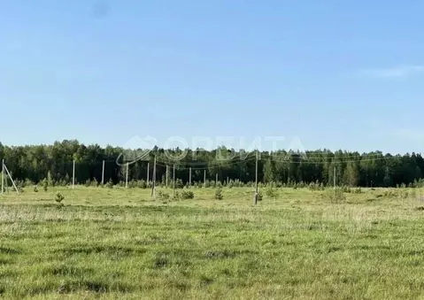 Участок в Тюменская область, Нижнетавдинский муниципальный округ, с. ...