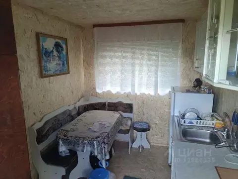 Дом в Омская область, с. Азово пер. Братский (36 м)