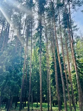 Участок в Московская область, Одинцовский городской округ, д. Шульгино ...