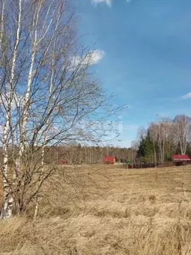 Участок в Коми, Сыктывдинский район, Шошка муниципальное образование, ...