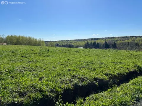 Участок в Сергиево-Посадский городской округ, территория Шубино-Яркое, ...