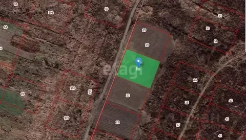 Участок в Амурская область, Благовещенский район, с. Гродеково  (20.0 ...