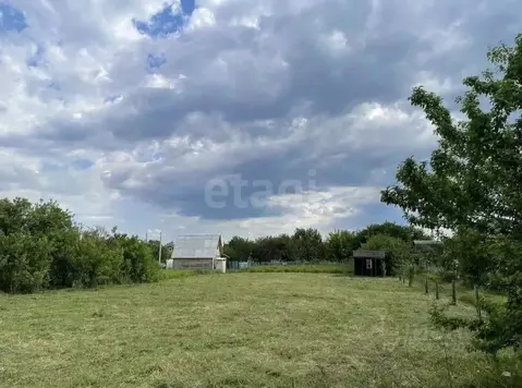 Участок в Брянская область, Брянский район, Снежское с/пос, с. ...