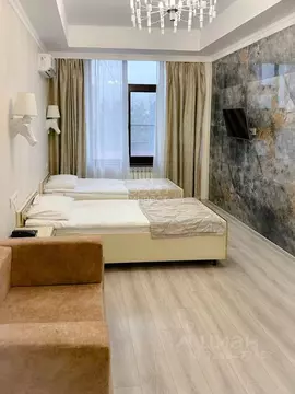 Студия Краснодарский край, Сочи Центральный мкр, ул. Северная, 10 ...