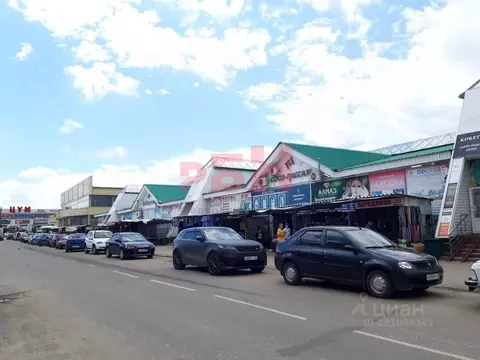 Торговая площадь в Пензенская область, Кузнецк ул. Дарвина (53 м)