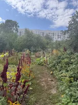 Дом в Курская область, Курск ул. Аристарховой, 56А (60 м)