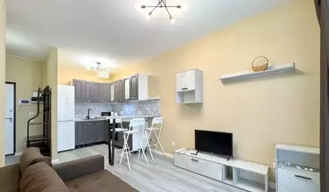 1-к кв. Санкт-Петербург пос. Парголово, дор. Михайловская, 14к1 (34.0 ...