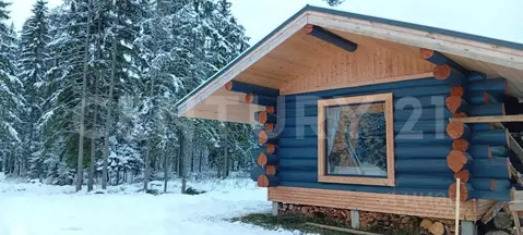 Дом в Ленинградская область, Ломоносовский район, Лопухинское с/пос, ...