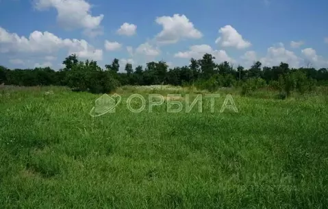 Участок в Тюменская область, Тюмень Ембаевское ТОО,  (10.0 сот.)