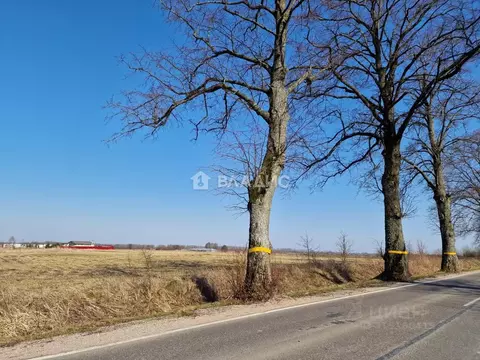 Участок в Калининградская область, Зеленоградский муниципальный округ, ...