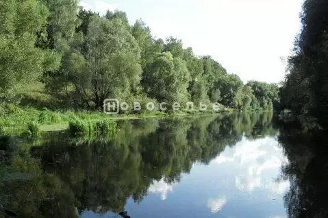 Участок в Рязанская область, Рыбновский район, Пионерское с/пос, д. ...