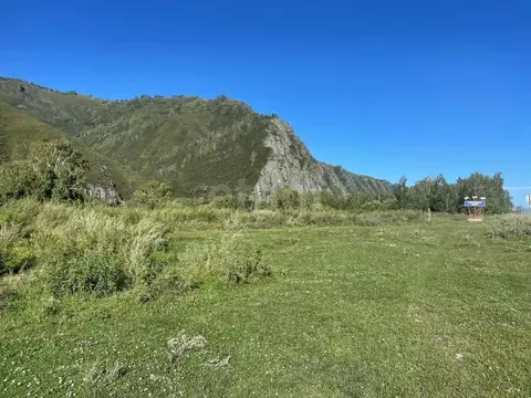 Участок в Алтай, Усть-Канский район, с. Владимировка Центральная ул. ...