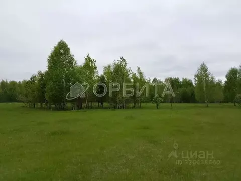 Участок в Тюменская область, Нижнетавдинский муниципальный округ, с. ...