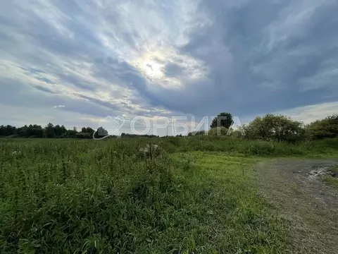 Участок в Тюменская область, Тюмень Лаванда садовое товарищество,  ...