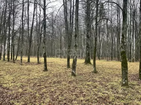 Участок в Тульская область, Тула ул. Едунова, 14 (4.78 сот.)