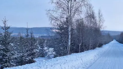 Участок в Пермский край, Оханский городской округ, д. Березовка  (8.0 ...