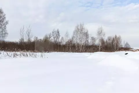 Участок в Тюменская область, Тюмень Поле Чудес садовое товарищество, ...