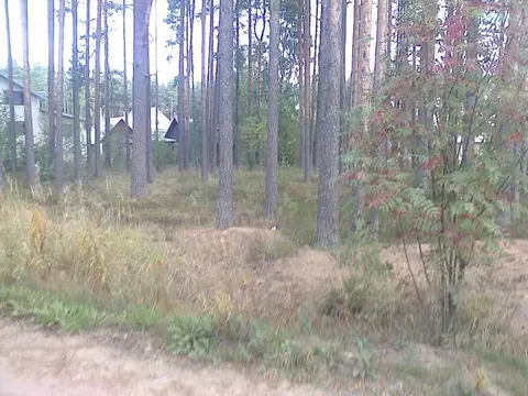 Участок в Ленинградская область, Приморск Выборгское ш. (12.0 сот.)