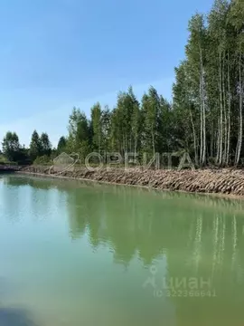 Участок в Тюменская область, Нижнетавдинский муниципальный округ, ...