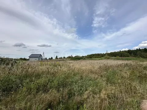 Участок в Калининградская область, Зеленоградский муниципальный округ, ...