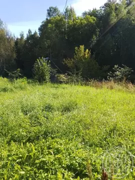 Участок в Ленинградская область, Лужский район, Волошовское с/пос, ...