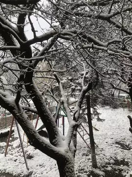 Комната Ставропольский край, Ставрополь № 4 мкр, ул. Объездная, 12