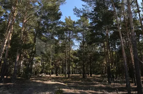 Участок в Тюменская область, Тюменский муниципальный округ, пос. ...