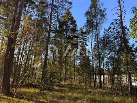 Участок в Ленинградская область, Всеволожский район, Агалатовское ...